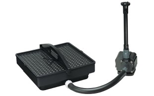 DNN-10-1004-1.jpg