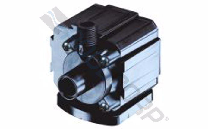 DNN-10-1011.jpg