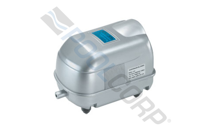 DNN-10-1030.jpg