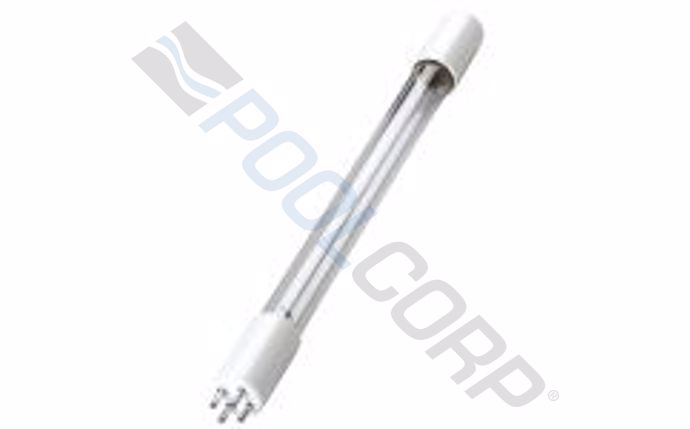 dnn-10-1060.jpg