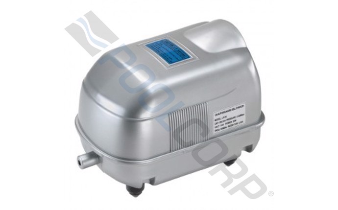 DNN-10-1068.jpg