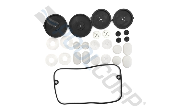 Diaphragm Kit for AP-20 redirect to product page
