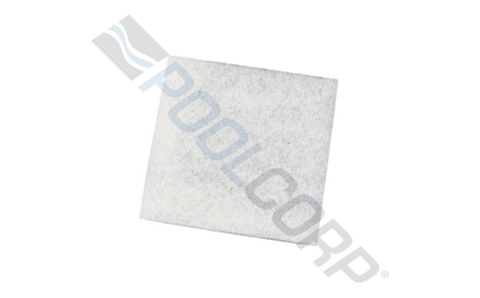 DNN-10-1085.jpg