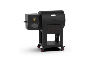 DNS-95-1047-2.JPG
