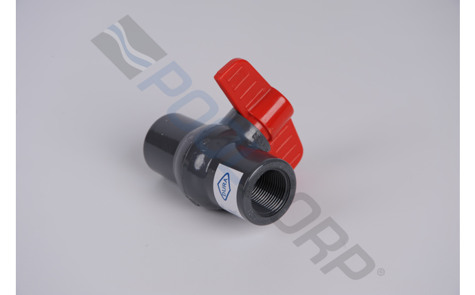 dpp-56-6186.jpg