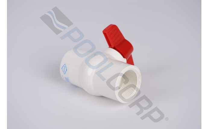 dpp-56-6188.jpg
