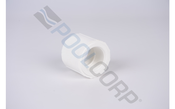 dpp-56-6318.jpg