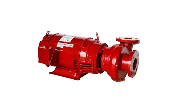 ele-10-1000-1.jpg