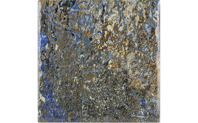 ELS-37-9206.jpg