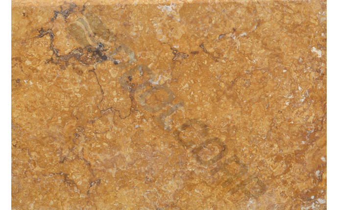 FBR-37-1030.jpg