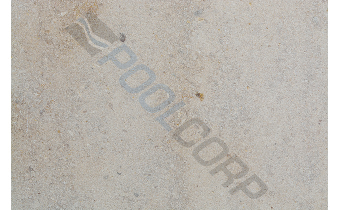 FBR-37-1288.jpg