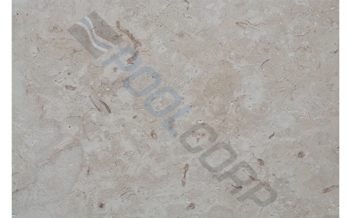 FBR-37-1289.jpg