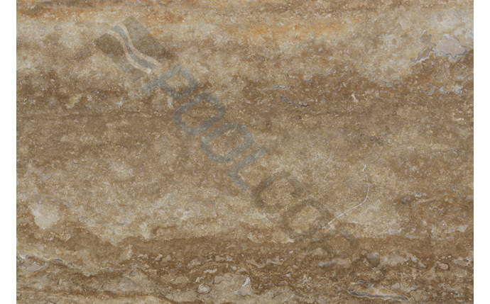 FBR-37-1305.jpg