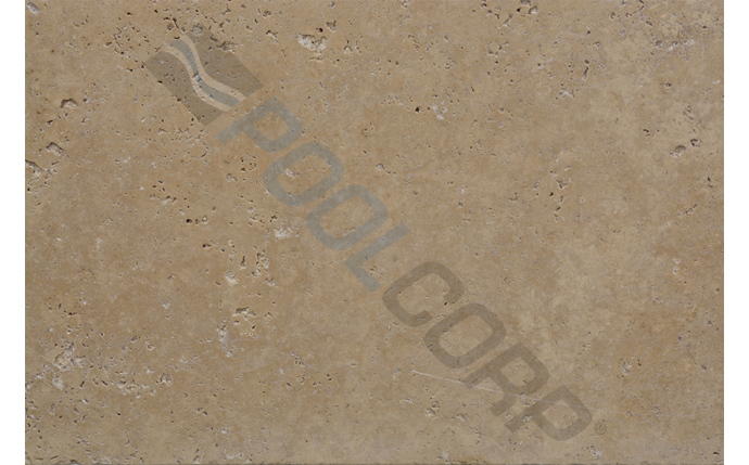 fbr-37-1386.jpg
