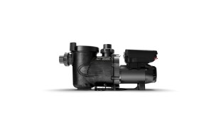 JDY-10-1004-2.jpg