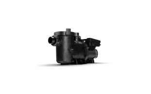 JDY-10-1005-1.jpg