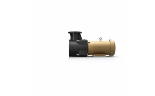 JDY-10-1009-3.jpg