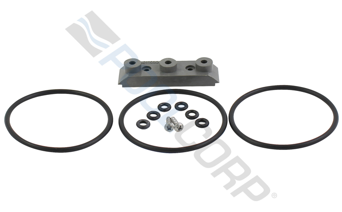 JDY-451-0205.jpg