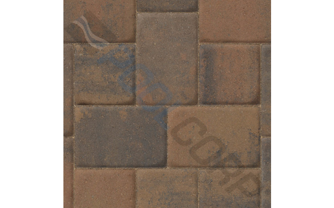 JEP-37-1382.jpg