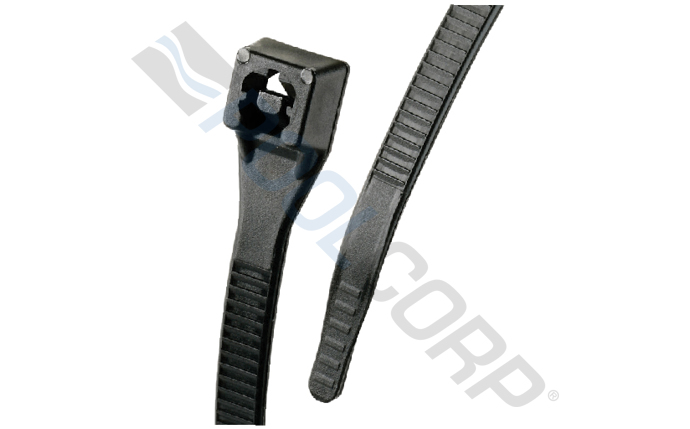 kin-57-1067.jpg