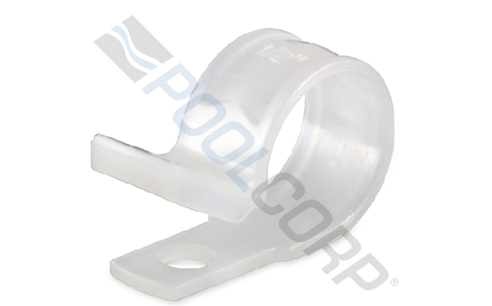kin-57-1104.jpg