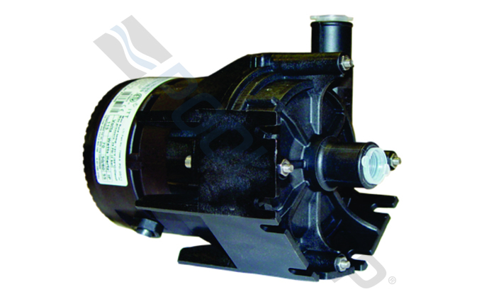 LAI-10-121.jpg