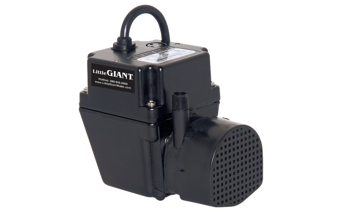 lgp-10-2304.jpg