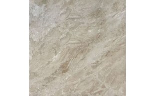LSM-37-0278.jpg
