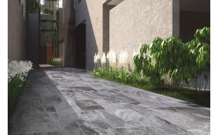 LSM-37-1491-1.jpg