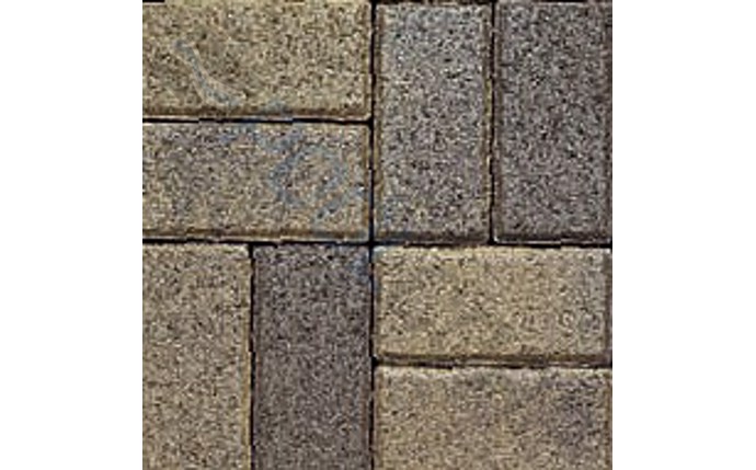 MLO-37-1124.jpg