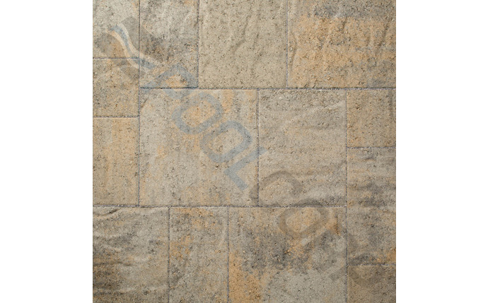 MLO-37-1312.jpg