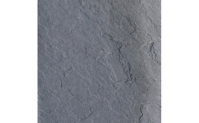 ncl-37-0431.jpg