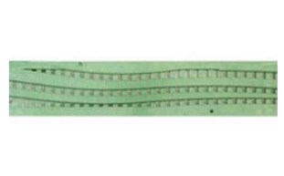 NDS-58-1670-2.jpg