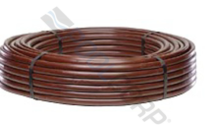 net-58-1063.jpg