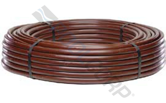 net-58-1064.jpg
