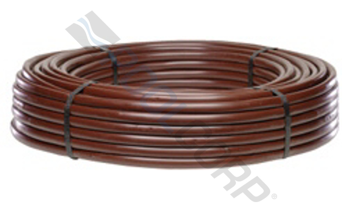 net-58-1074.jpg