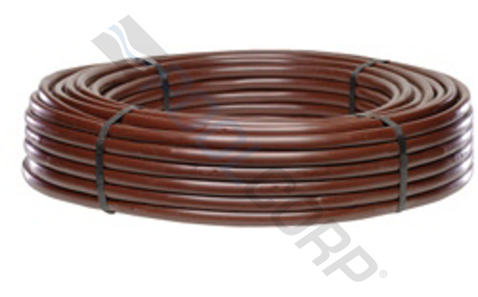 net-58-1078.jpg