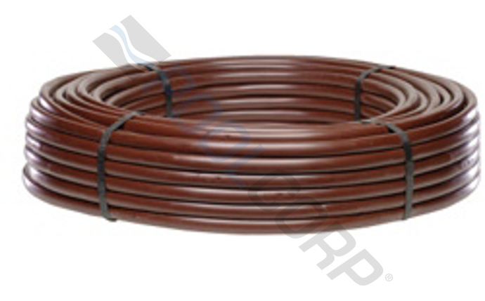 net-58-1087.jpg