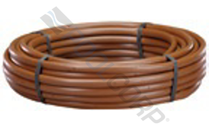net-58-1112.jpg
