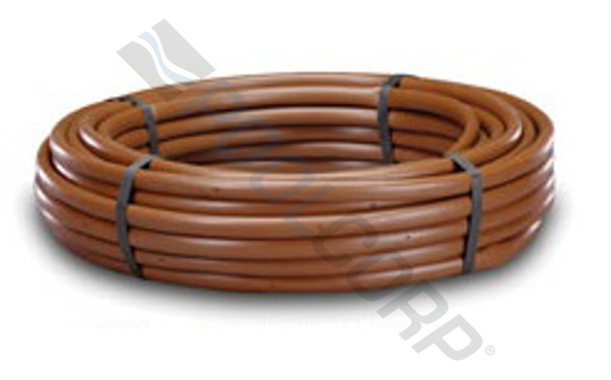 net-58-1118.jpg