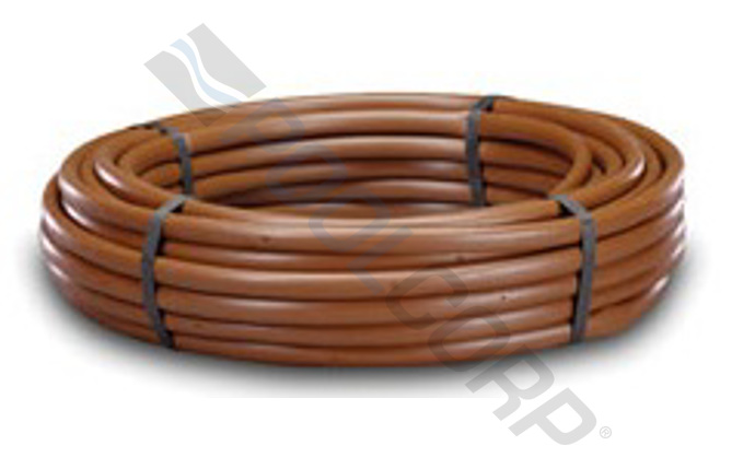 net-58-1120.jpg