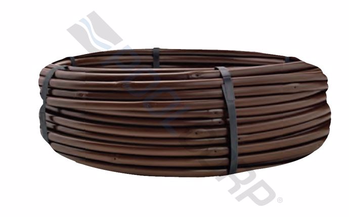 net-58-1334.jpg