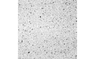 NPT-37-7003-1.jpg