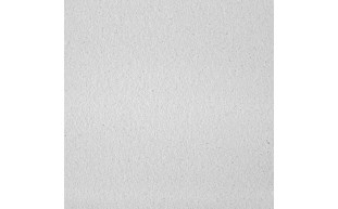 NPT-37-7095-1.jpg