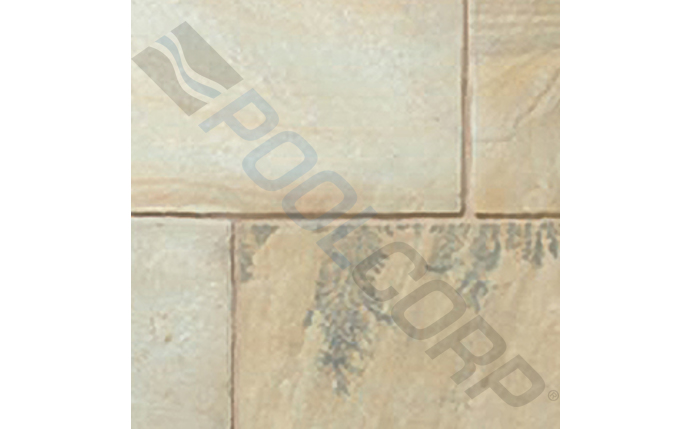 npu-37-1008.jpg