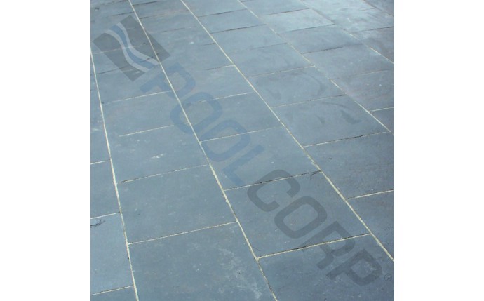 npu-37-1010.jpg