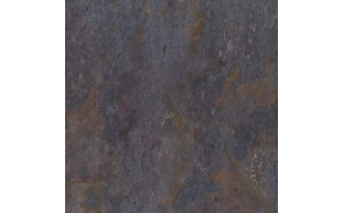NSO-37-1030-2.jpg
