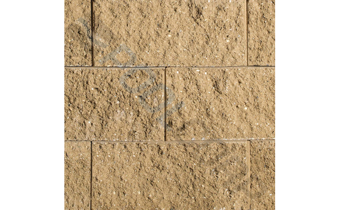 oai-37-0482.jpg