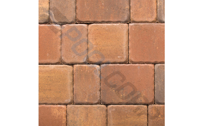 OCB-37-2538.jpg
