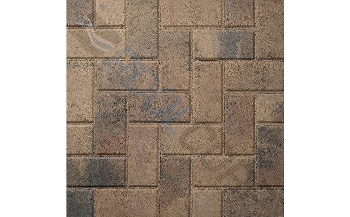 OCB-37-2619.jpg